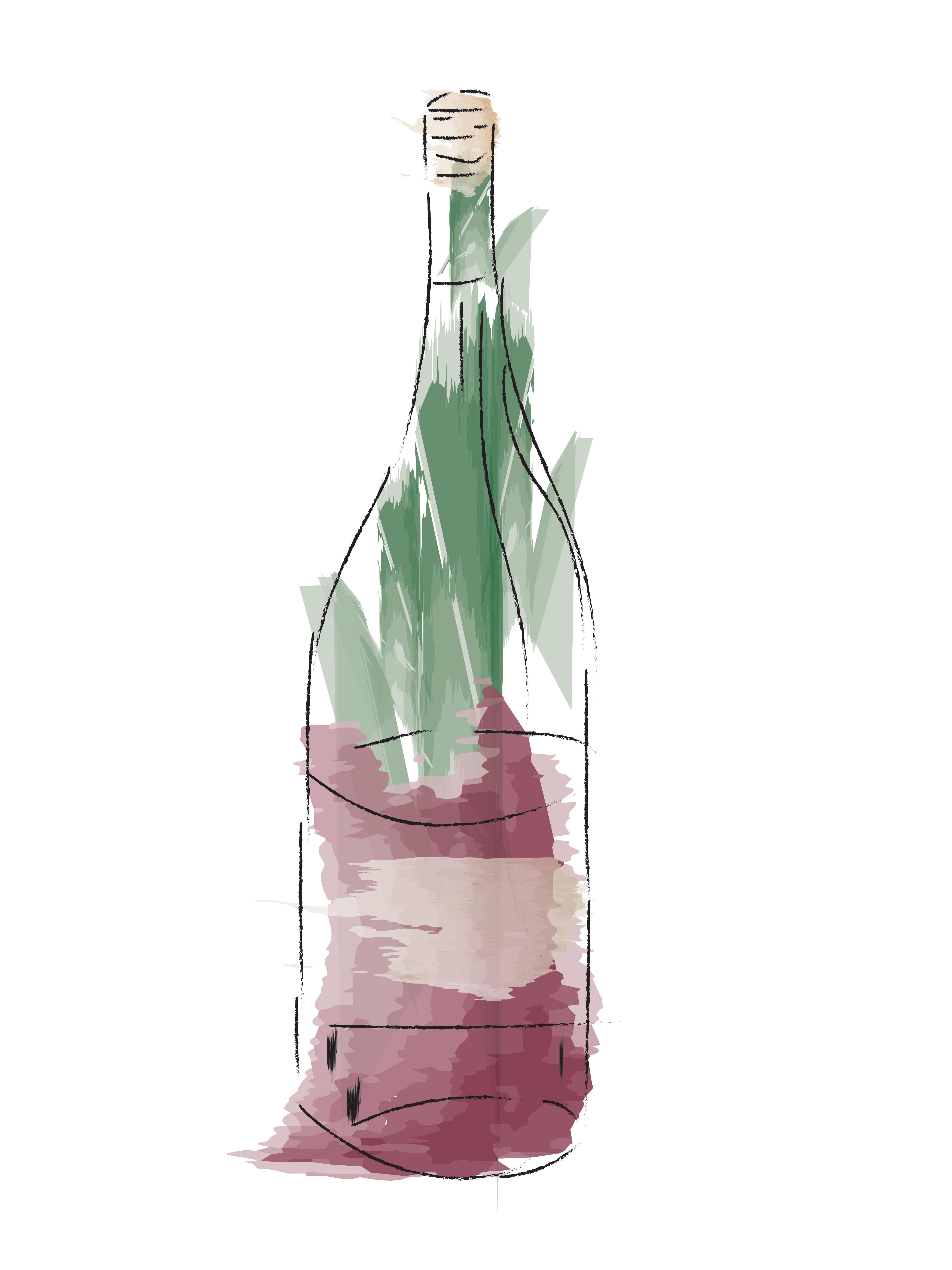 Wine Bottle Illustration 2